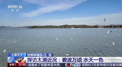 d19a8a280f558f47a9c6c9f97e729bb5.png