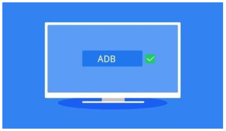 甲壳虫ADB助手 v1.3.1 智能电视安装第三方软件限制问题解决方案-木风软件站
