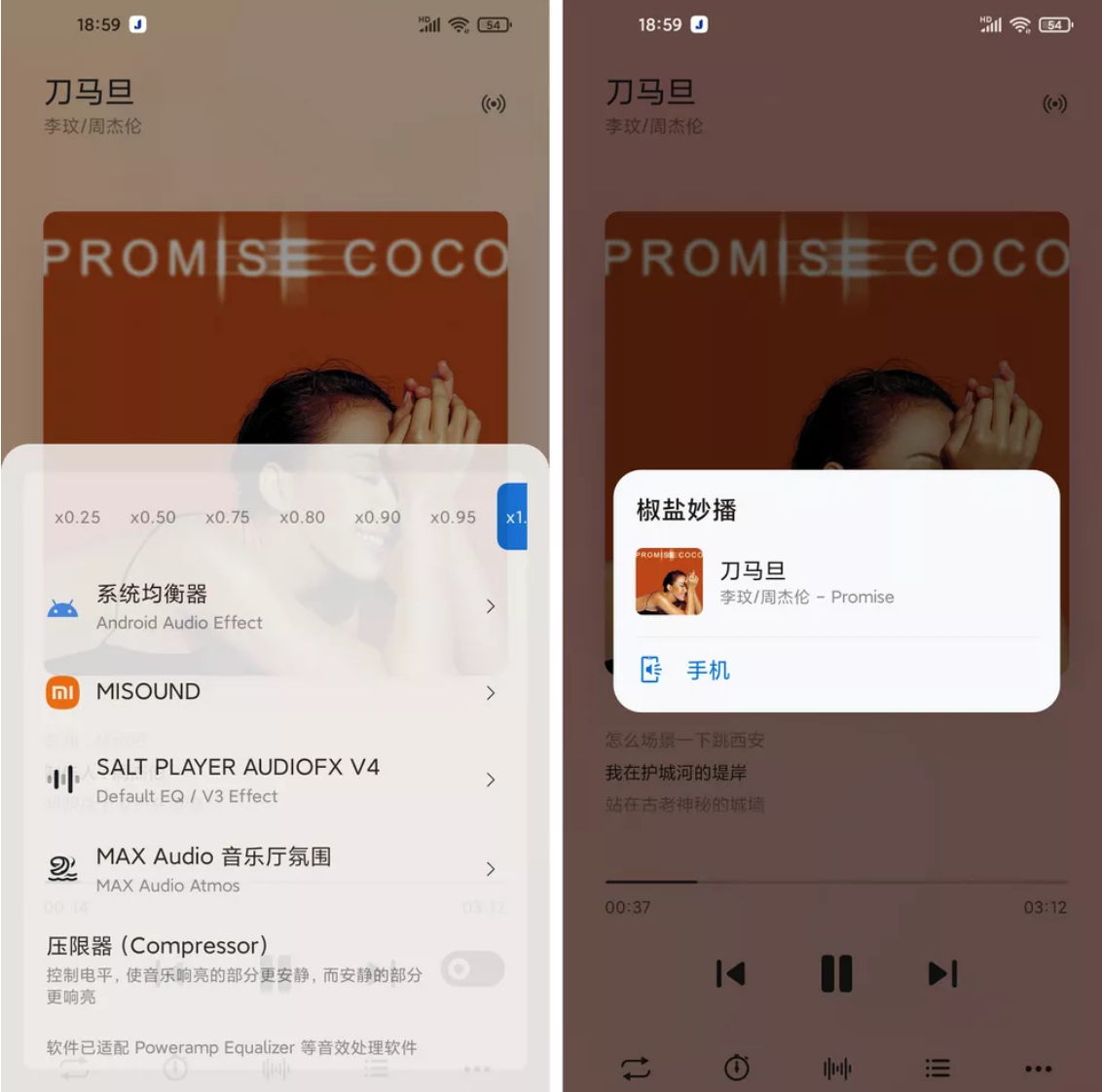椒盐音乐Salt Player v10.9.0 安卓本地音乐播放器