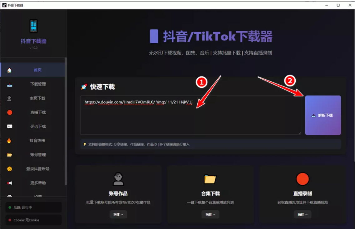 抖音短视频下载器/tiktok短视频下载器 PC版 支持无水印下载